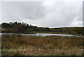 Lake near Pebsham Farm