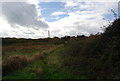 Path across the conservation area.