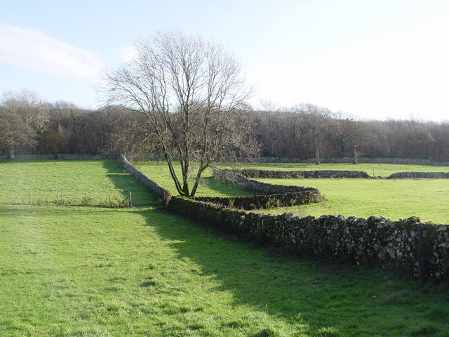 Drystone Walls