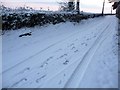 Country lane with snow