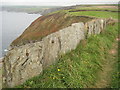 Coast path near Port Gaverne