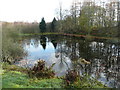 Duck pond above Edradynate