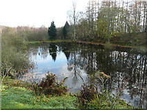 NN8852 : Duck pond above Edradynate by Russel Wills