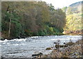 Rapids on the River Tay