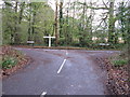 Signpost at the junction of Marlpost Road Dragons Green Road and Netherwoods Road