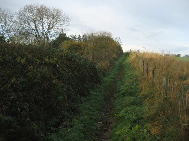 Teesdale Way between Gainford and Piercebridge