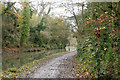 Bridge 34 to bridge 35, Grand Union Canal (3)