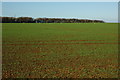 Arable land opposite Elkstone Farm