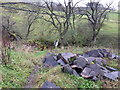 Log pile at Throstle Hall Cottage