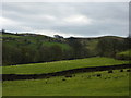 View south from fields by Twiston