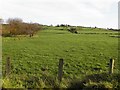 Ballybracken Townland