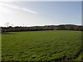 Freemanstown Townland