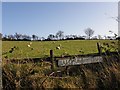 Tobergill Townland