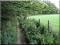 Footpath towards Eastry