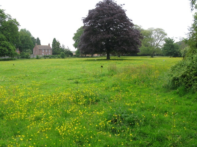 Meadow between footpath and Felderland Lane