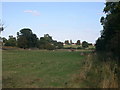 Field near footpath, Haughley bends