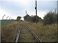 NZ2858 : Bowes Railway (Disused) near Springwell by Les Hull
