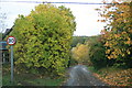 Autumn colour in Lidstone