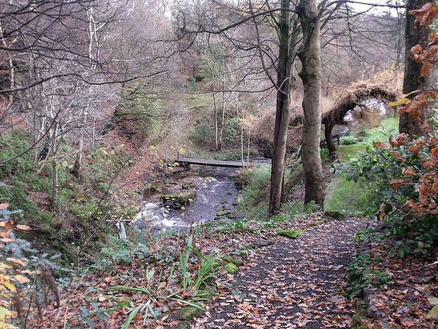 Kilsyth, bridge in the glen