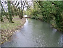 SU0425 : River Ebble near Broad Chalke by Maigheach-gheal