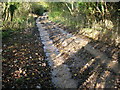 The Byway turns into a stream after heavy rain