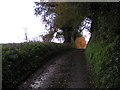 Lane from Greenslinch towards Ford