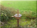 Field hydrant, Langstone