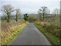 Road and footpath to Frankham Fell