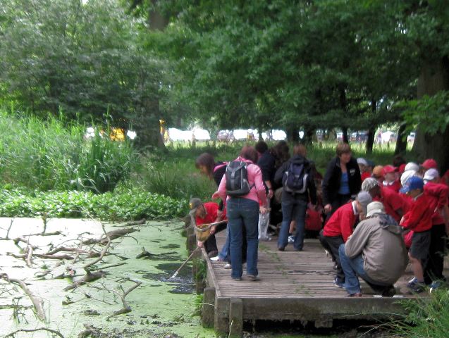 School Party at the pond near the Bridgewater Monument, Ashridge