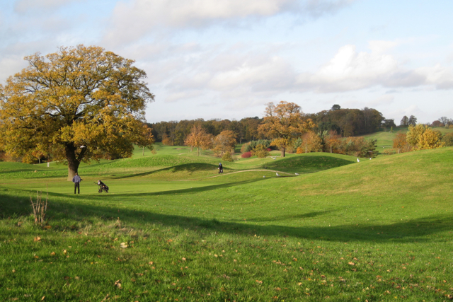 A green on the King s Course The Robin Stott 