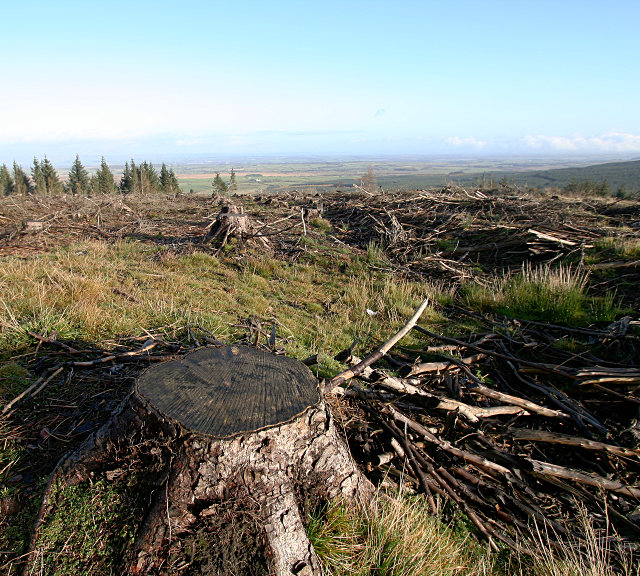 Clear cut at the top of the Stang Forest © Andy Waddington cc-by-sa/2.0 ...