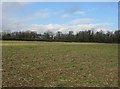 Clay Farm farmland