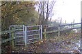 Kissing Gate near Winterbourne Wood