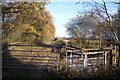 Kissing Gate on a muddy path near Winterbourne Wood