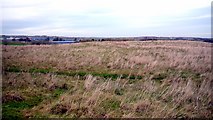 NZ4341 : Site of the deserted medieval village of Horden, Peterlee by Andrew Curtis