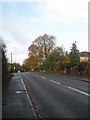 Autumn in Lovedean Lane