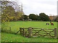 Footpath, Chilmark