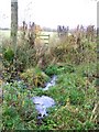 Footpath, Charnage