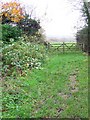 Footpath, Barrow Street