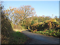 Lane to Hilltop from Linton