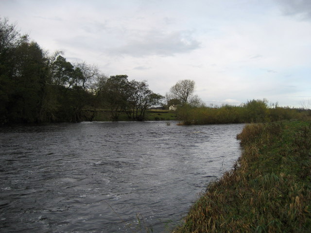 River Tees South of High Coniscliffe