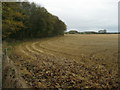 Countryside near High Coniscliffe