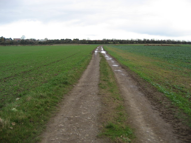 Track to Low Coniscliffe