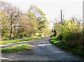 East Carleton Road seen from the junction with Spong Lane