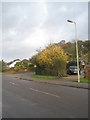 Approaching the junction of  an autumnal Lovedean Lane  and The Curve