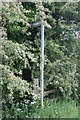 Gibbet Lane, Old Footpath sign to Cotesbach