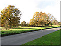 View across Long Lane towards Mulbarton Common