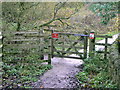 Wheelchair-friendly kissing gate