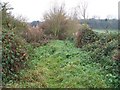 Footpath to Aston Magna