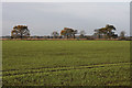 Farmland near Norton Little Green